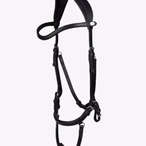 POS Bridle King Edward