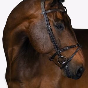 POS Bridle Mary Lou By Henrik Von Eckermann