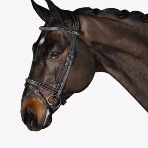 POS Bridle Stockholm