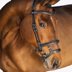 POS Bridle Paris