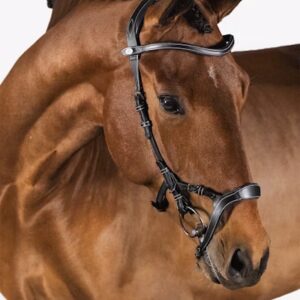 POS Bridle Nirak