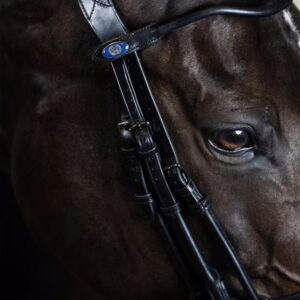POS Double Bridle Paragon