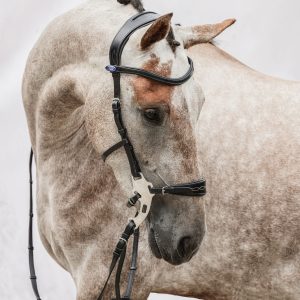 POS Bridle Hackamore Sport